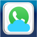 Run Whatsapp desktop online