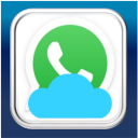 Run WhatsApp Desktop online